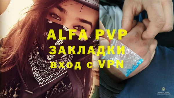 шишки Елабуга