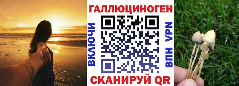 Галлюциногенные грибы Psilocybine cubensis  Купить где  Красный Кут 